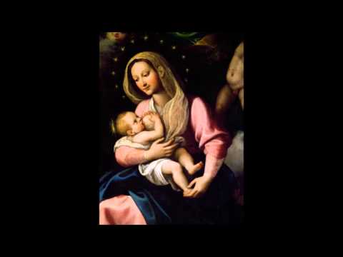 Fonte selada video