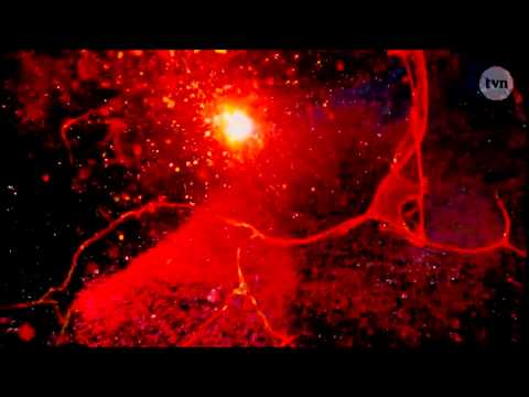 Poland's Next Top Model - Cycle 5 - Opening Credits [Short]