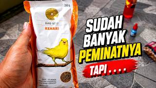 Download lagu Gold Coin Canary Food Tested | Honest Review mp3