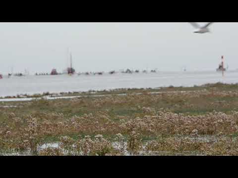 download lagu mp3 mp4 Lamour Etaples, download lagu Lamour Etaples gratis, unduh video klip Lamour Etaples