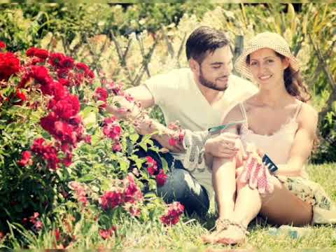 ព្រំដែនចិត្ត - Promden Jet