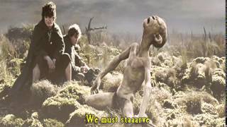 GIF compilation from 2014-02-11 and 2014-02-06, funny, gif, wtf