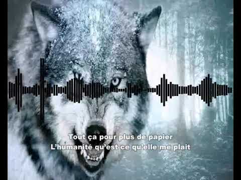 Visage Pale - la meute