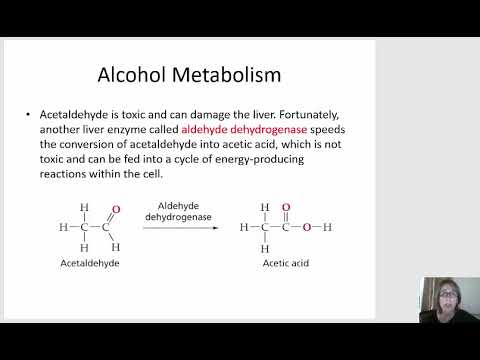 CHM 127 059 Chapter 5 2 Alcohol Metabolism