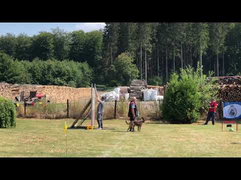 Mondioring - Scale Jump @2.2m