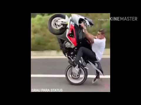 Sai da janela juriti