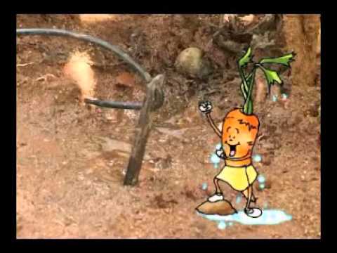 Integrated Farm Development