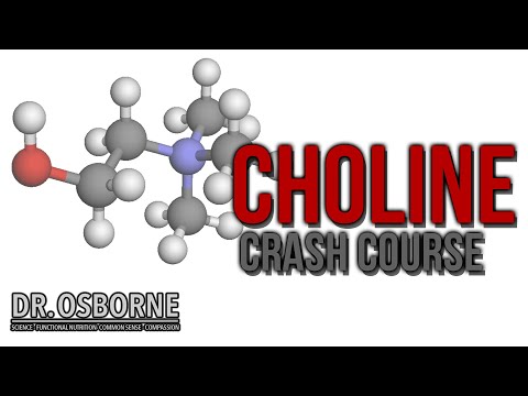Crash Course on Choline