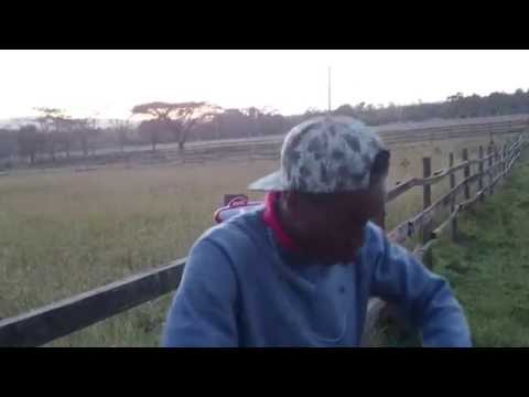 Video thumbnail 39NQv0YJ_U8