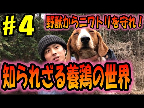 トルゴス・トラケリオトゥス