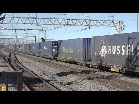 HD drs 66433 passes rugby working 4s49 2/2/13