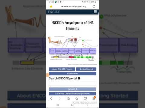 ENCODE (portal for DNA elements)