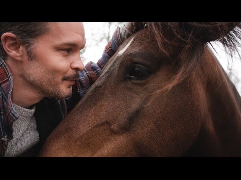 The Tallest Man on Earth - Greetings from Sweden - YouTube
