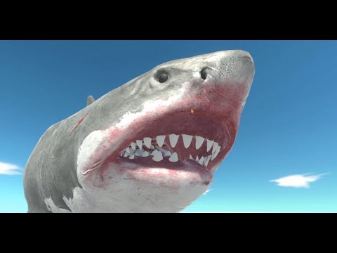 Baby Shark Mutant Megalodon vs Battle Bot ARBS Animal Revolt Battle Simulator 1000 X
