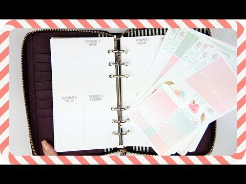Rewind PWM | Celebrate (EvieLouandCo) ❄ VLOGMAS DAY 16