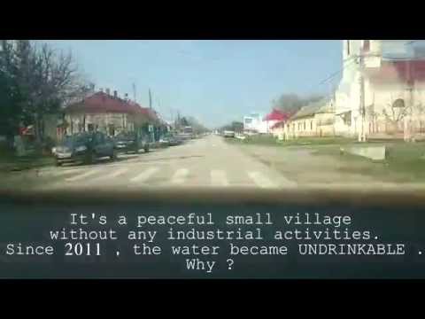 The 33rd element ( - Ar - Beba Veche - Romania )