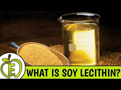 Soya Lecithin