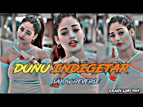 dono indicator bhojpuri song slowed and reverb || dono indicator bhojpuri song #lofi #remix #song