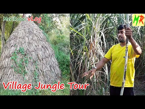 एक दिन भारत के एक गाँव मे | Indian Village life | Village Lifestyle | Village Jungle | Fish Hunting