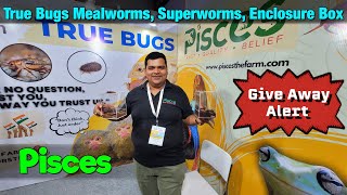 Pisces Truebugs I Meal Worms I Superworms I Hissing cockroaches I Enclosure box I IIPTF I5th Aquagic