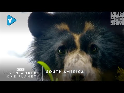 #BBC Guide: South America | Seven Worlds, One Planet | Saturday, February 1 at 9pm | BBC America