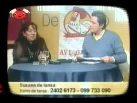 BENDITA TV 212 - GRAN MEDIÁTICO 22/05/2011