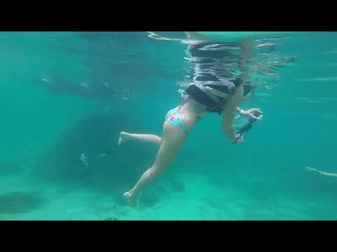 Phi phi island ta snorkeling p1