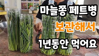페트병에 마늘쫑 짱아지 담으면 1년후 먹어도 싱싱하다