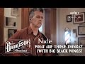 Nudie - "What Are Those Things? (With Big Black Wings)" // The Barbershop Sessions