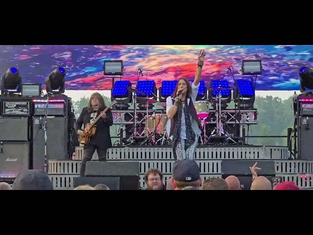 Video preview
