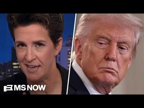 Maddow: Why the Constitution and the American spirit are against Trump's war on the free press