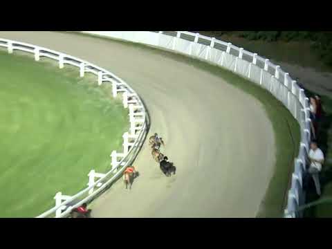 2022.08.26. 04. futam - Nyári Sprint Nagydíj