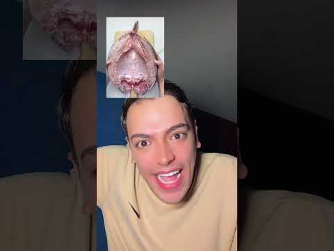 سمك عايشين أحلى حياة🐠😍🤣
