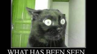 Stephen Lynch - Not Home