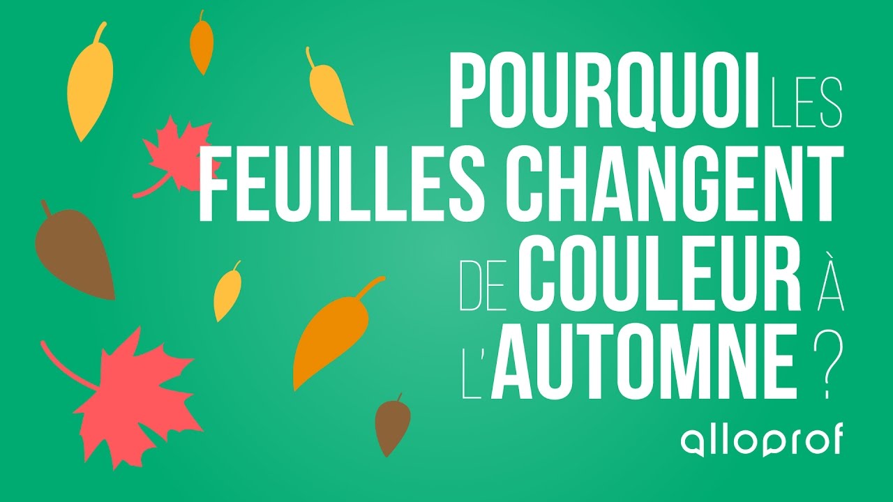 Pourquoi les feuilles changent de couleur à l'automne?