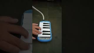 Download lagu Basuri kereta malam mp3