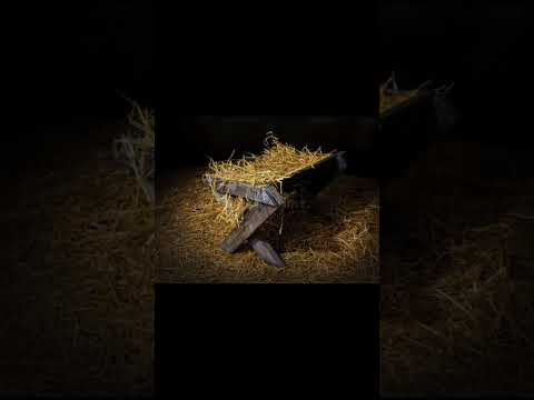 Cssa Gnanavani 02/01/2026 Sr. Usha Varani