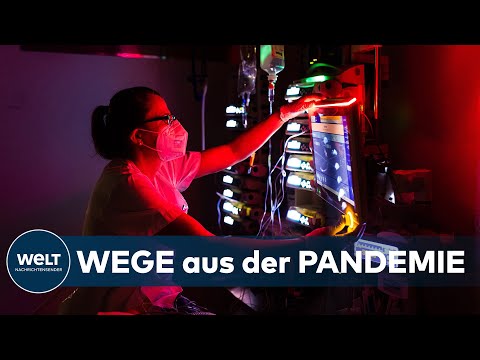 CORONA-PANDEMIE: Inzidenz hat ausgedient - Mit Klinikbelegung und 3G gegen die Covid-19-Krise | WELT