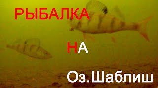 Вк рыбалка в челябинской области