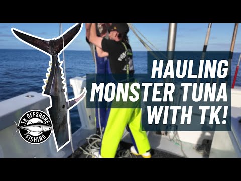 Riesenthunfisch nach Riesenthunfisch! TKs neue Crew liefert ab | TK Offshore Fishing