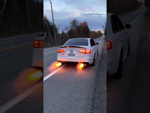 B8.5 Audi S4 034 Motorsport Advanced Launch Control | Backfire