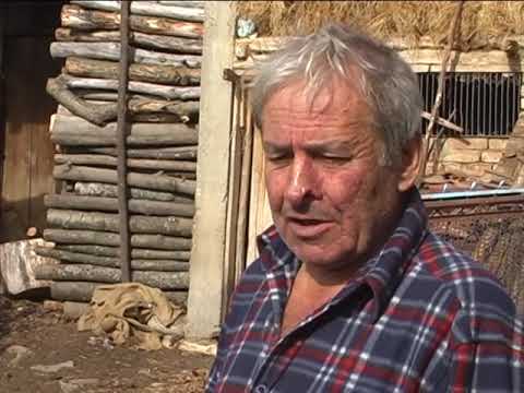 NAŠA SELA, OVČARSTVO, BELA PALANKA