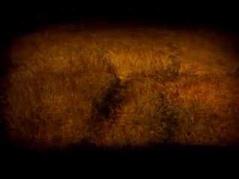 Юркеш - Стеляться тумани (official music video)