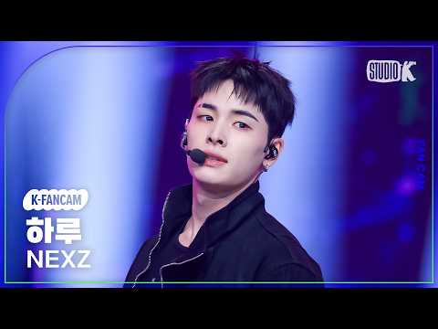 하루