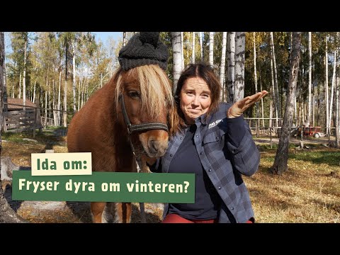 , title : 'Fryser dyra om vinteren? | Livet på Barnas Gård | Episode 6'