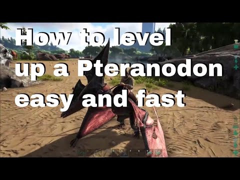How To Level Up Pteranodon Fast Ark