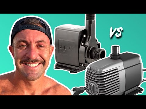 Best Pump for DIY Cold Plunge (Inline vs Submersible)