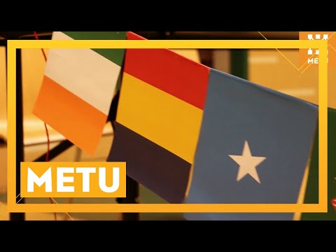 Afrikai est (tematikus est)