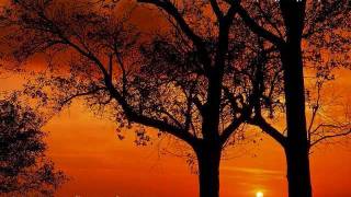 Download lagu When you're gone- The Cranberries traducido (Cuando te vas) mp3