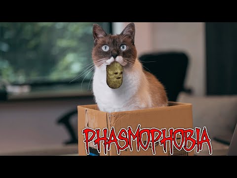 【Phasmophobia】声が低すぎる男の配信 streaming with deep voice